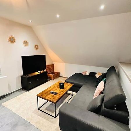 Superbe Maison A Proximite Du Centre De Strasbourg Bischheim Dış mekan fotoğraf