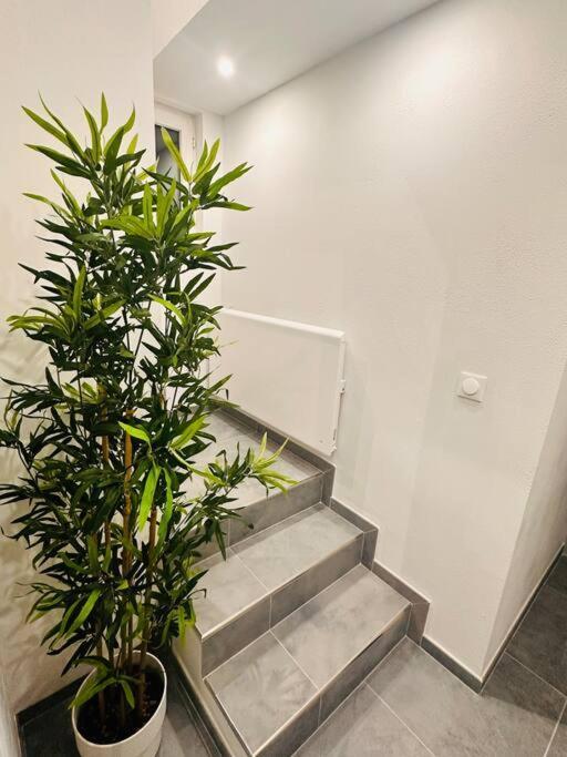 Superbe Maison A Proximite Du Centre De Strasbourg Bischheim Dış mekan fotoğraf